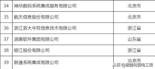 信息系统集成及服务大型一级企业概览
